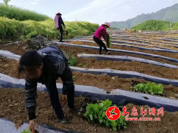 ��ƺ�(zh��n)��4000����������ȫ����_(k��i)