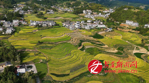 �P������ӭ�S��