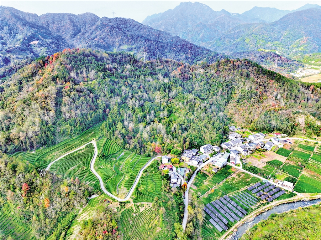 ƽ���h�V��悲�@