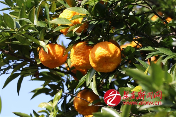 ���S������h��h����