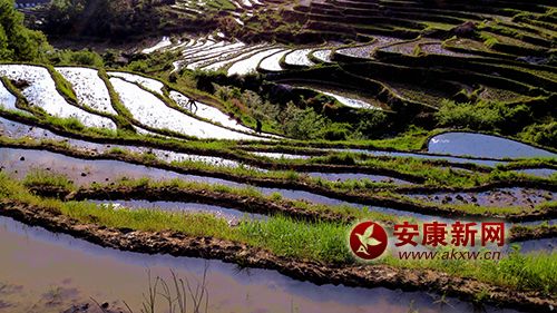 ���������r